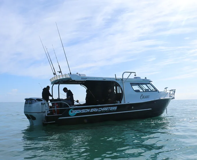 Jackson Bay Charters, Westcoast New Zealand