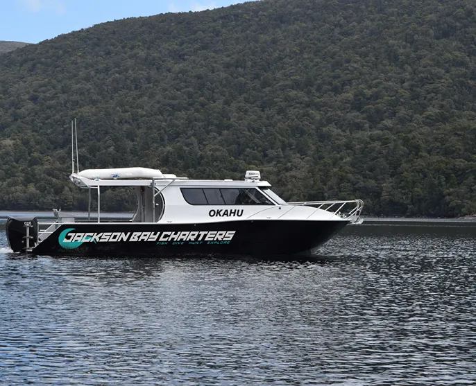 Welcome to Jackson Bay Charters